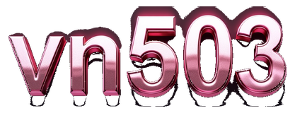vn503 logo